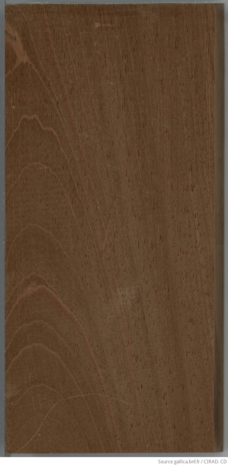 Collection de bois de la Xylothèque du Cirad. Bois de la Collection de référence. Sindora siamensis Teysm. var. siamensis - Famille des Caesalpiniacées (Vietnam)