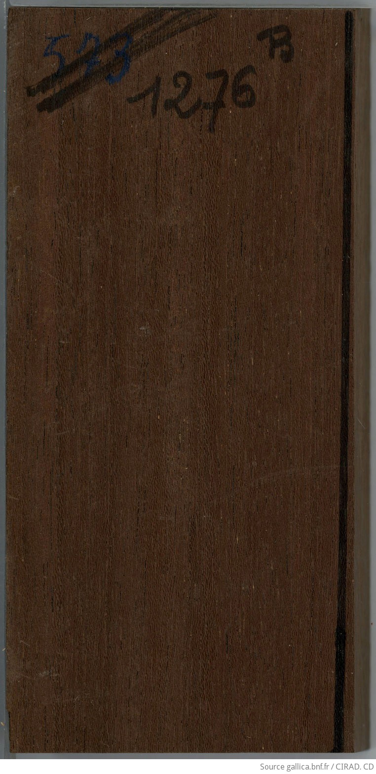 Collection de bois de la Xylothèque du Cirad. Bois de la Collection de référence. Sindora siamensis Teysm. var. maritima K.S.Lars. (Syn. Sindora maritima) - Famille des Caesalpiniacées (Vietnam)