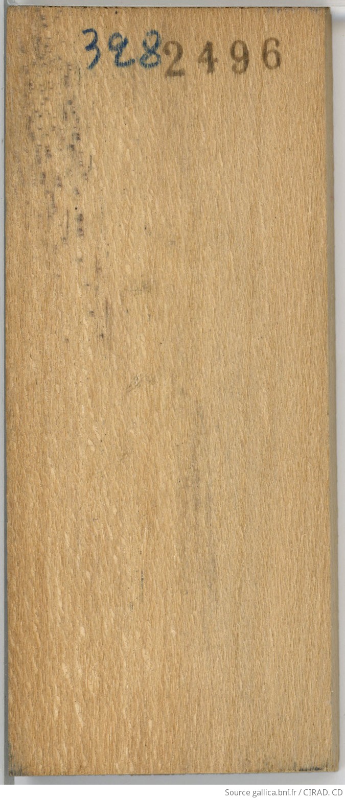 Collection de bois de la Xylothèque du Cirad. Bois de la Collection de référence. Symplocos cochinchinensis var. laurina Retz (Syn. Myrtus laurina, Dicalix laurinus, Symplocos laurina) - Famille des Symplocacées (Vietnam)